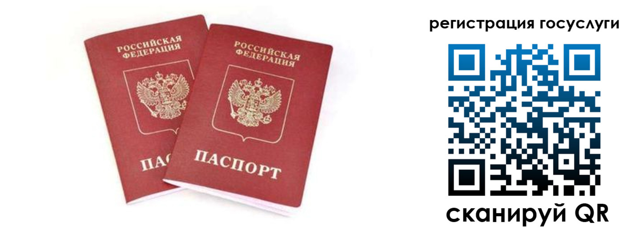 прописка в квартире в Богучаре